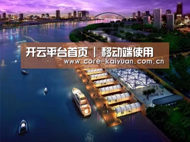 案例展示八