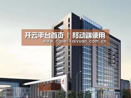 案例展示七