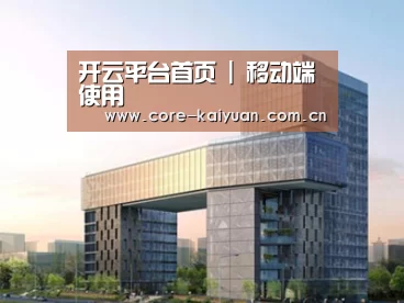 案例展示四