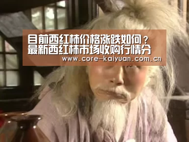 目前西红柿价格涨跌如何?最新西红柿市场收购行情分析:开元棋牌app(图1) 开元棋牌下载