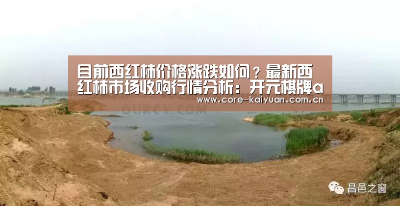 目前西红柿价格涨跌如何?最新西红柿市场收购行情分析:开元棋牌app(图2) 开云体育中国官网
