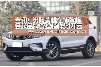 喜讯!炎陵黄桃在博鳌峰会获品牌管理榜样奖|开云体育中国官网(图1) 开云体育中国官网