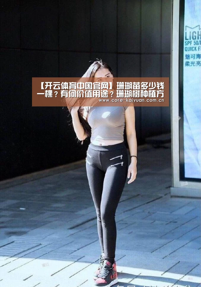 开元棋牌下载