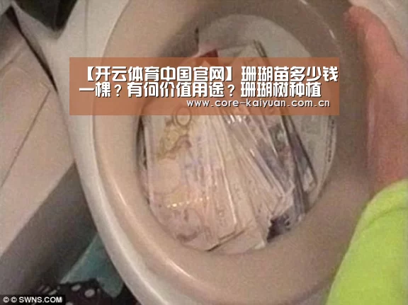 开元棋牌app