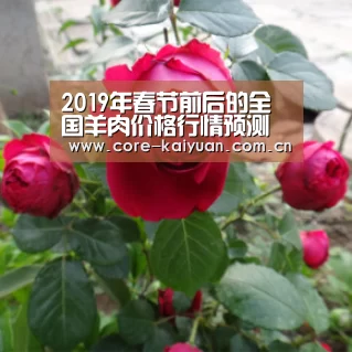 开元棋牌下载