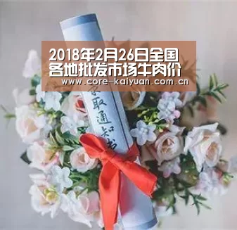 开云体育中国官网